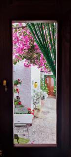 La buganvilla de Juana y Antonio - Casares - 4