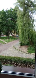 APARTAMENT FOCHA - Częstochowa - 1