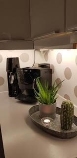 Sentralt 10 minutt med buss til Trondheim Sentrum - 6