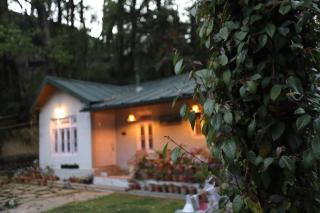 Hutton Cottage By Stay Native - Nainital - 8