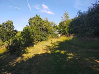 Tiny Messancy, une immersion dans la nature ! - Messancy - 5