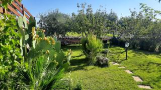 Red Rose B&B - Martina Franca - 4