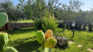 Red Rose B&B - Martina Franca - 5