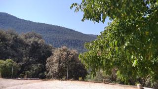 VENTA DE LA CASA NOGUERA - Riópar - 3