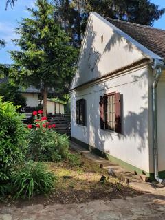 Molnar Vendeghaz - Hajdúszoboszló Keleti-Főcsatorna - 5