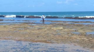 Marulhos Suites - 1