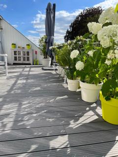 Rooftop terrace suite - Heist-op-den-Berg - 3