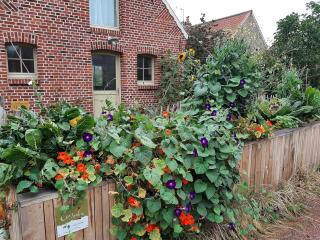 Les Jardins d'Olus - Wandignies-Hamage - 8