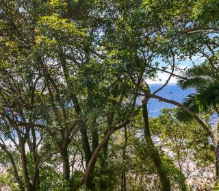 Little Cove Court - Apartment 11 - 2