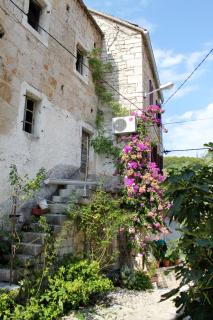 Apartments by the sea Pucisca, Brac - 770 - Pučišća - 8