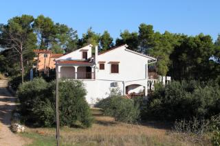 Apartments by the sea Tkon, Pasman - 698 - Tkon - 8