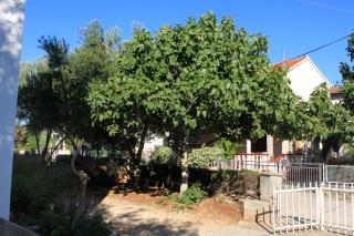 Apartments by the sea Zdrelac, Pasman - 697 - 2