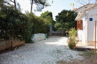 Apartments with a parking space Mirca, Brac - 728 - 1