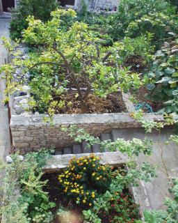 Apartments by the sea Sutivan, Brac - 719 - Sutivan - 5