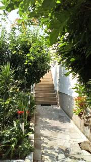 Apartments with a parking space Mirca, Brac - 730 - 3