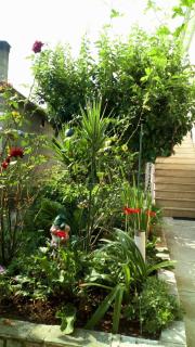 Apartments with a parking space Mirca, Brac - 730 - 2