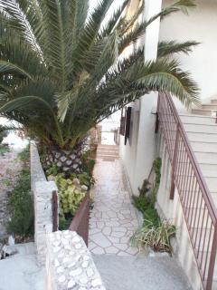 Apartment Maslinica 774b - Grohote - 2