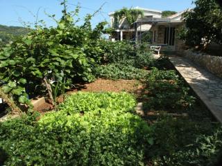 Apartments by the sea Stomorska, Solta - 784 - 5