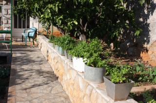 Apartments by the sea Stomorska, Solta - 784 - 4