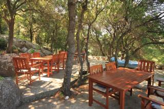 Apartments and rooms by the sea Lucica, Lastovo - 990 - Lastovo - 3