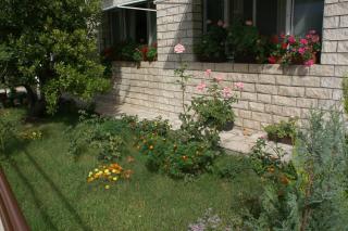 Apartments by the sea Pisak, Omis - 1010 - Mimice - 4