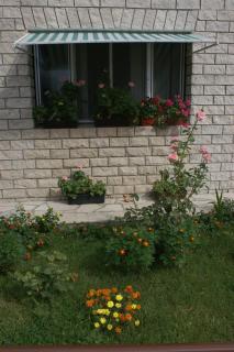 Apartments by the sea Pisak, Omis - 1010 - Mimice - 3