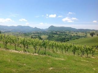 Vittoria Il Graditempo Country House - 8