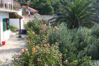 Apartments by the sea Zavode, Omis - 1022 - 3