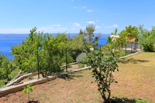 Studio Marusici 1024b - Mimice - 4