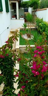 Apartments by the sea Postira, Brac - 706 - Postira - 5