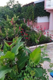 Apartments with a parking space Kraj, Pasman - 819 - Tkon - 5