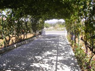 Apartments with a parking space Kraj, Pasman - 819 - Tkon - 4