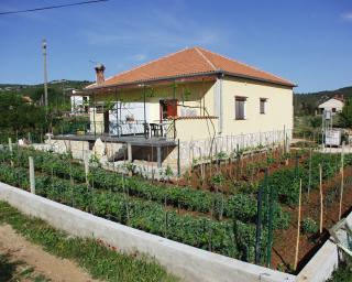 Apartments with parking space Kraj, Pasman - 696 - 9
