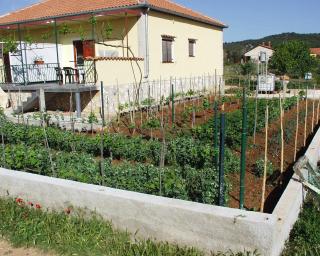 Apartments with a parking space Kraj, Pasman - 696 - Tkon - 4