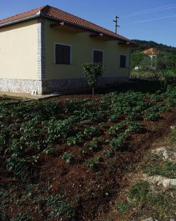 Apartments with a parking space Kraj, Pasman - 696 - Tkon - 3