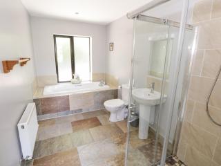 The Visiting House - 1