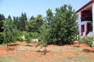 Apartments by the sea Ugljan - 830 - 4
