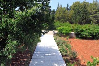 Apartments by the sea Ugljan - 830 - 3