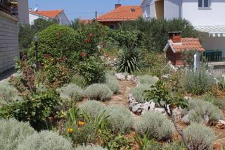 Apartments with a parking space Sali, Dugi otok - 872 - Sali - 3