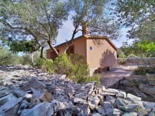Secluded fisherman's cottage Cove Jaz - Telascica, Dugi otok - 876 - Sali - 9