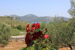 Secluded fisherman's cottage Cove Jaz - Telascica, Dugi otok - 876 - Sali - 4