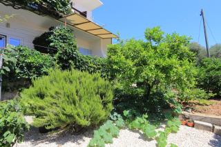 Apartment Zivogosce - Blato 1057d - Blato - 2