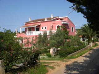 Apartments by the sea Susica, Ugljan - 841 - Ugljan - 0