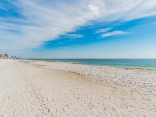 Phoenix V #115 - Orange Beach - 4