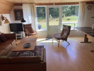 Holiday home Hadsund CXXXVII - Hadsund - 1