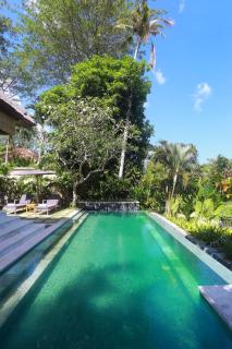 Tamu Seseh - Canggu - 6