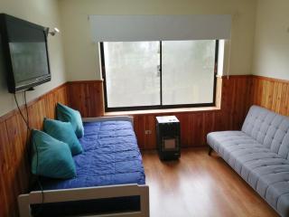 Departamento en Pucón - Pucón - 7