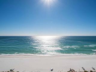 The Pearl of Navarre #1101 - Navarre - 9