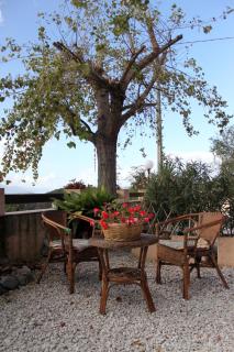 Il Pioppo - Veroli - 4
