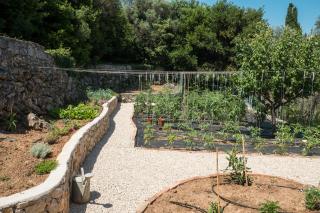 Apartments by the sea Nerezine, Losinj - 18734 - Nerezine - 2